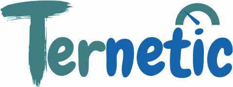 Ternetic logo