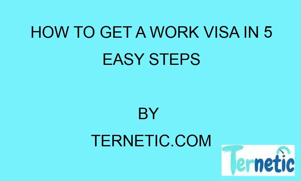 how-to-get-a-work-visa-in-5-easy-steps-ternetic